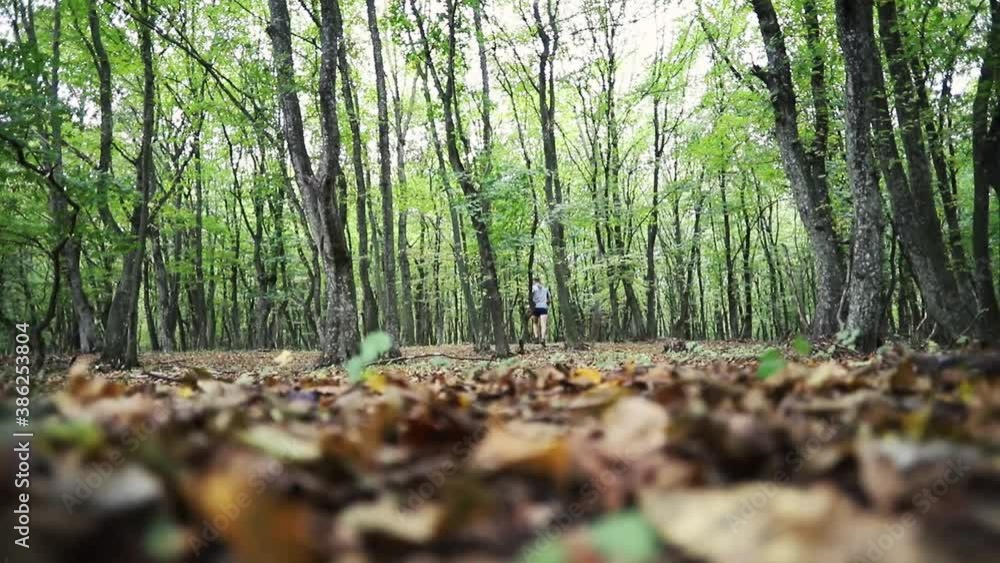 man running in forest with white dog trail running man running in forest with white dog trail running
