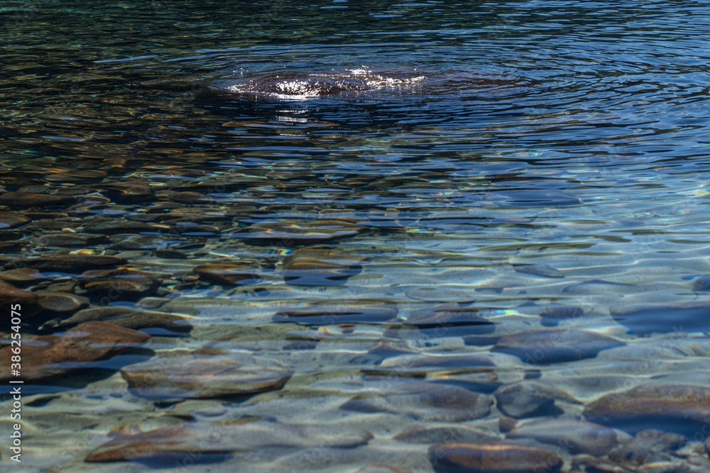 Obraz premium Beautiful clear waters of Lake Tahoe, reflections, clear beautiful shots