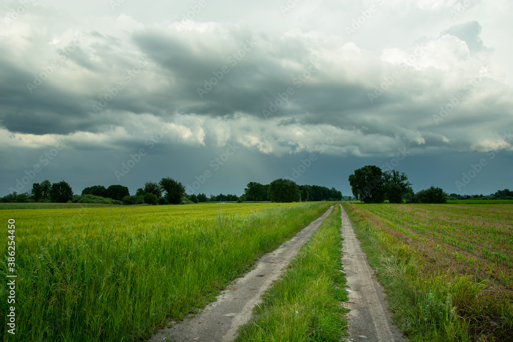 Rural road through green fields and rainy clouds on sky
