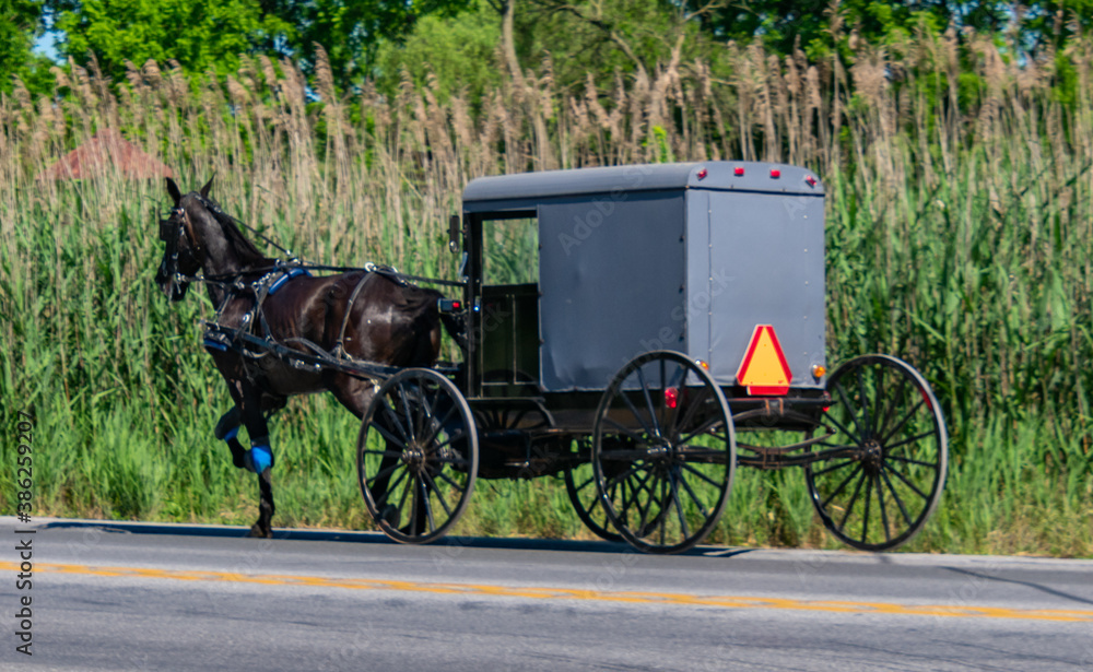 Amish horse and buggy in Lancaster Pennsylvania