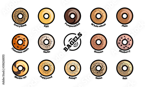 Set of bagels types. Colorful flat vector illustration.