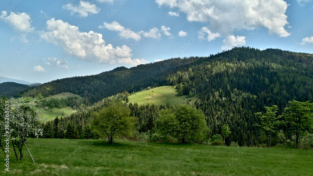 gorce gorce