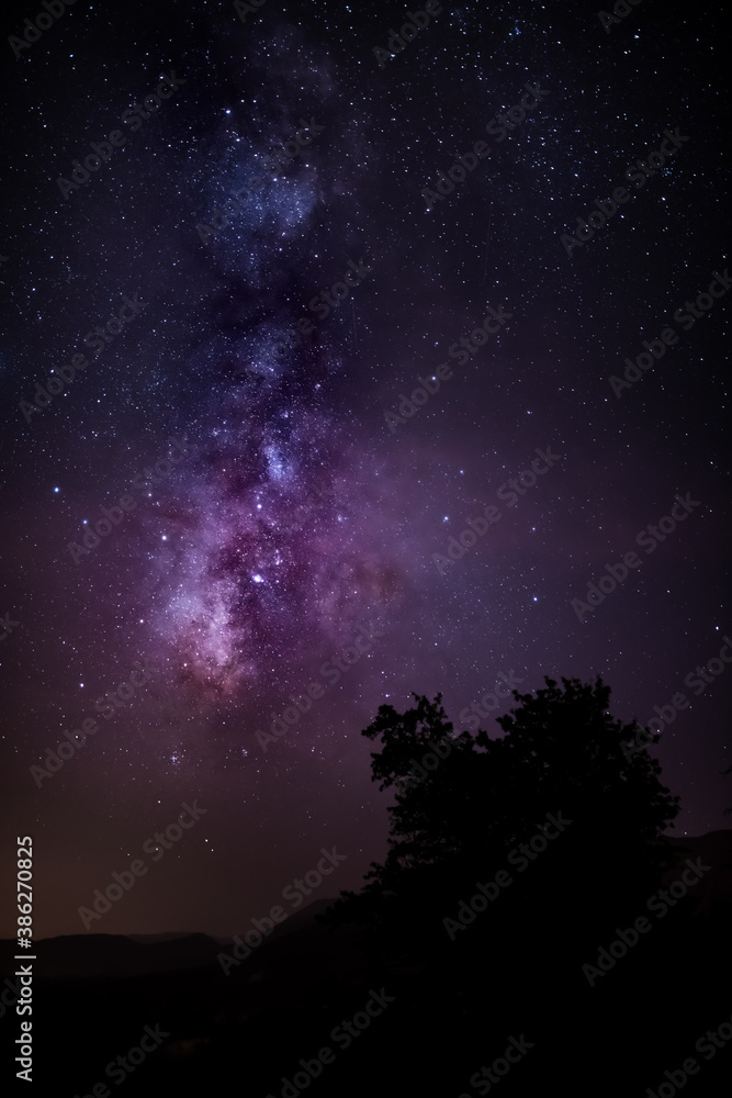 The Milky Way and some trees.