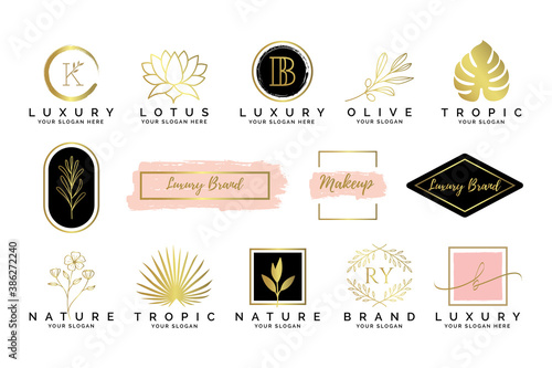 Feminine luxury modern minimalist logo collections template