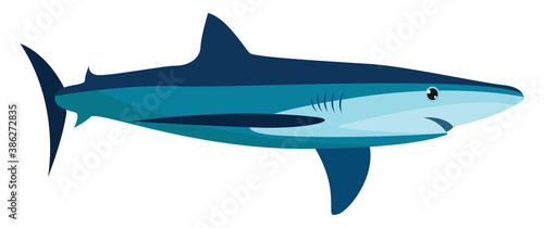 Blue shark, illustration, vector on white background