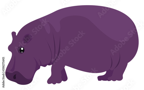 Purple hippo, illustration, vector on white background