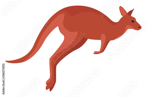 Red kangaroo, illustration, vector on white background