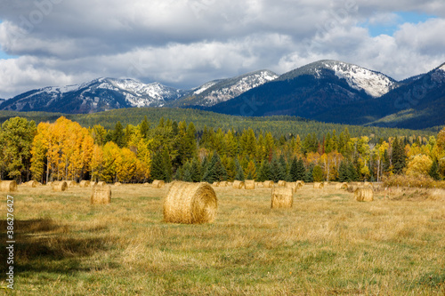 Autumn hay bales in field with distant snow capped mountains in background, Montana
