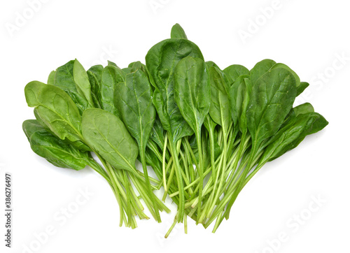 Bunch of spinach leaves on isolated white background