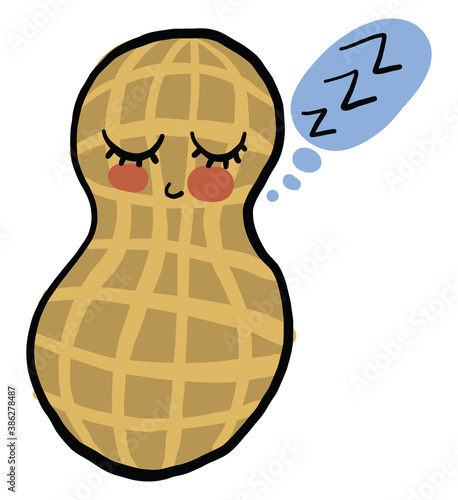 Sleeping peanut in a shell, illustration, vector on white background