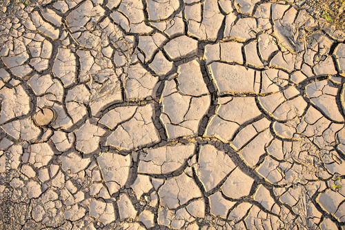 Dry land texture, deep crack. Cracked ground background. Effects of heat and drought. effects of global warming. 