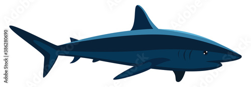 Scary blue shark, illustration, vector on white background.