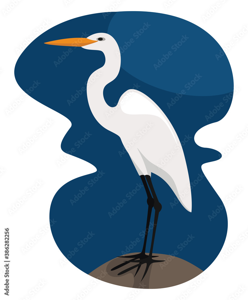Fototapeta premium White egret, illustration, vector on white background.