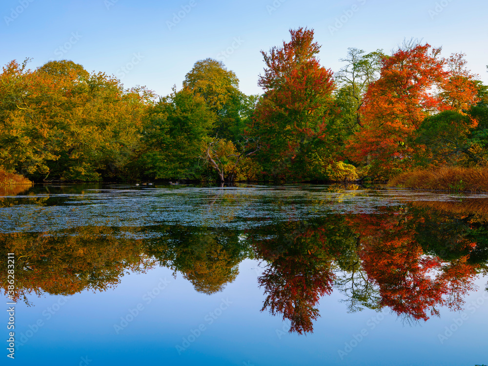 Autumn landscape with foliage reflected on a calm pond water surface Autumn landscape with foliage reflected on a calm pond water surface