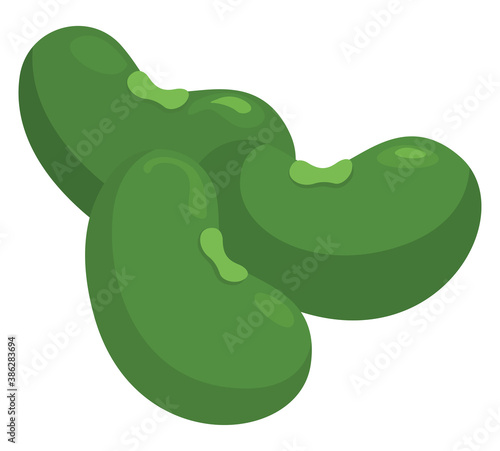 Magic green beans, illustration, vector on white background.