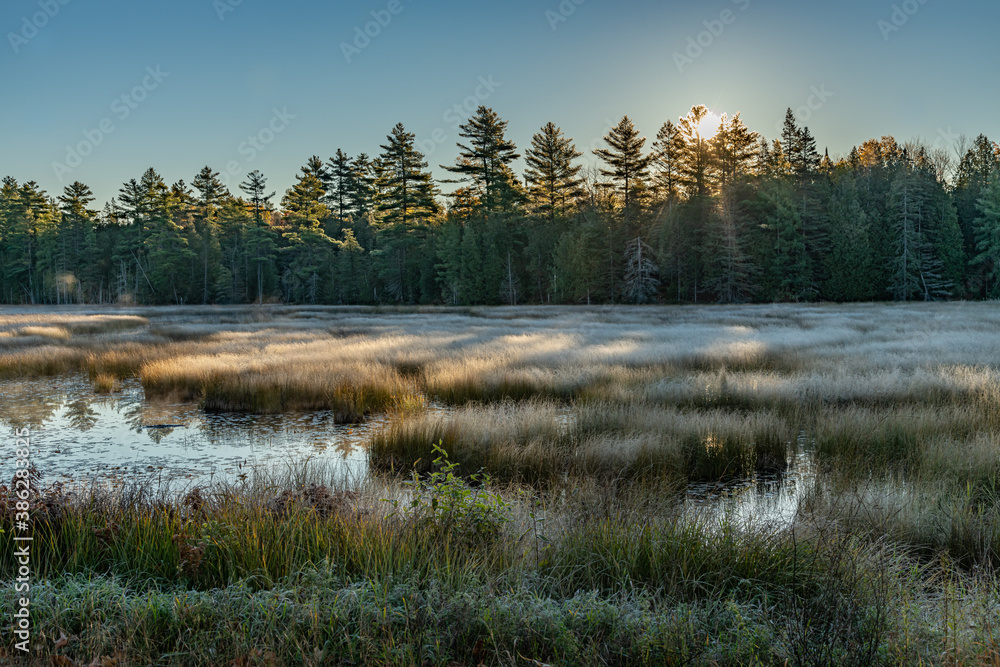 Sunrise seeing the frost over pond  grass landscape