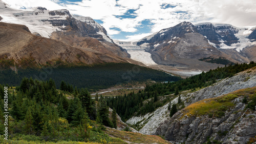 View of the Athabasca glacier from Wilcox peak trail and forefront forest and mountains in Jasper National Park, Alberta, Canada.