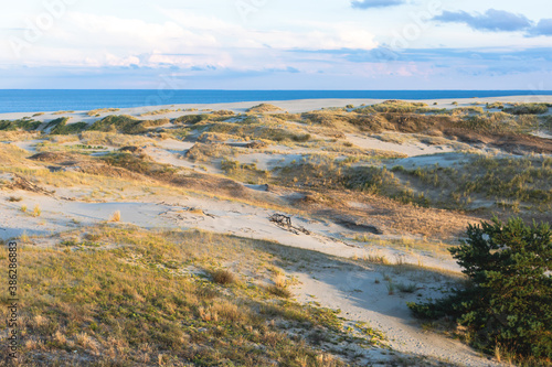 Fototapeta Naklejka Na Ścianę i Meble -  View of sand dunes of Curonian Spit, Kurshskaya Kosa National Park, Curonian Lagoon and the Baltic Sea, Kaliningrad Oblast, Russia and Klaipeda County, Lithuania, summer day
