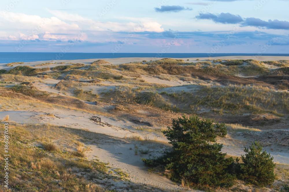 View of sand dunes of Curonian Spit, Kurshskaya Kosa National Park, Curonian Lagoon and the Baltic Sea, Kaliningrad Oblast, Russia and Klaipeda County, Lithuania, summer day