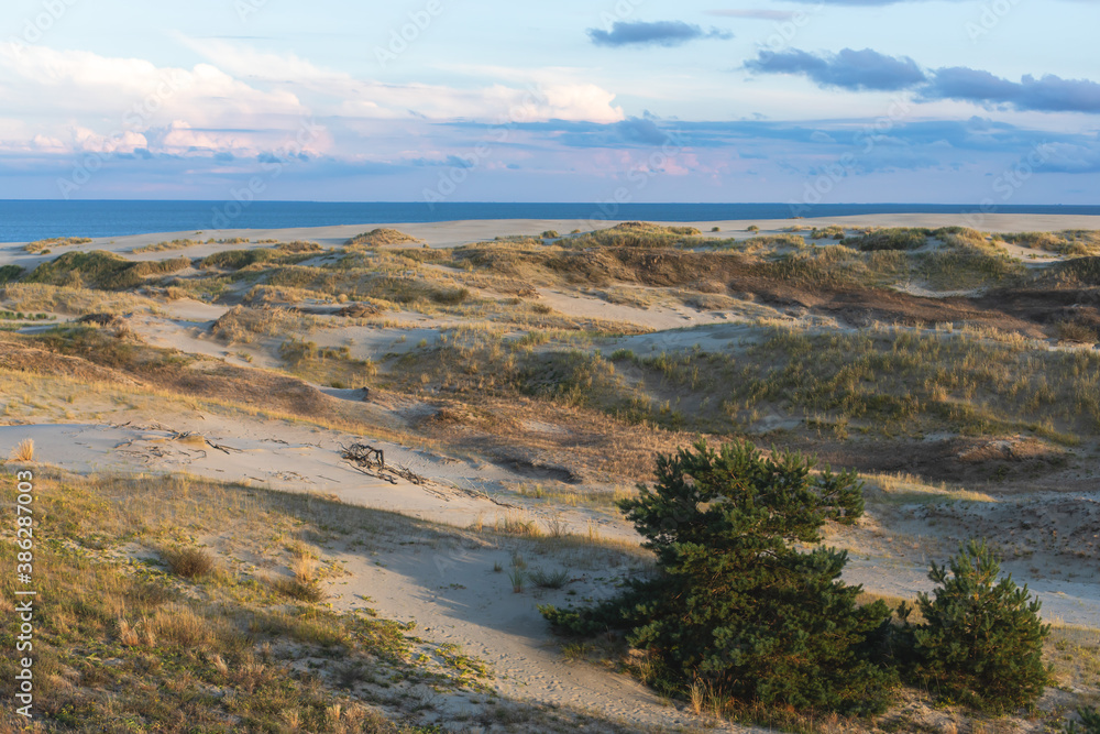 Obraz premium View of sand dunes of Curonian Spit, Kurshskaya Kosa National Park, Curonian Lagoon and the Baltic Sea, Kaliningrad Oblast, Russia and Klaipeda County, Lithuania, summer day