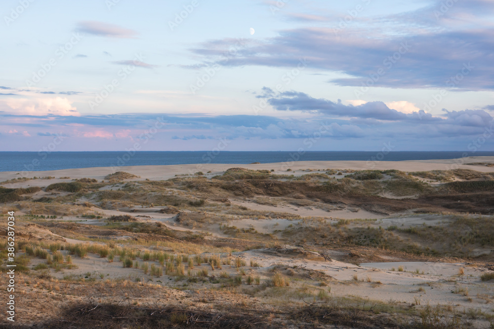 View of sand dunes of Curonian Spit, Kurshskaya Kosa National Park, Curonian Lagoon and the Baltic Sea, Kaliningrad Oblast, Russia and Klaipeda County, Lithuania, summer day View of sand dunes of Curonian Spit, Kurshskaya Kosa National Park, Curonian Lagoon and the Baltic Sea, Kaliningrad Oblast, Russia and Klaipeda County, Lithuania, summer day