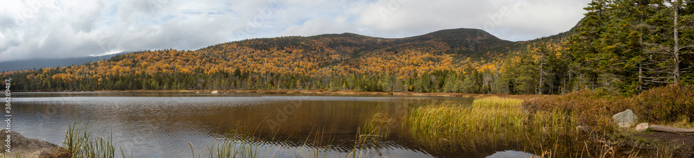 Lonesome Lake's west shorline blooms in yellow, even on a cloudy fall day