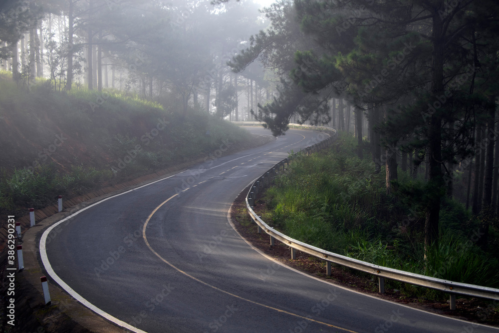 road in the fog road in the fog