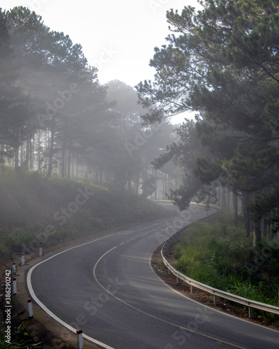 road to the fog