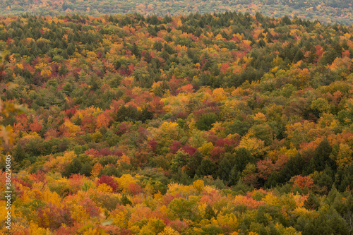 New England fall colors peak in a valley of souther New Hampshire