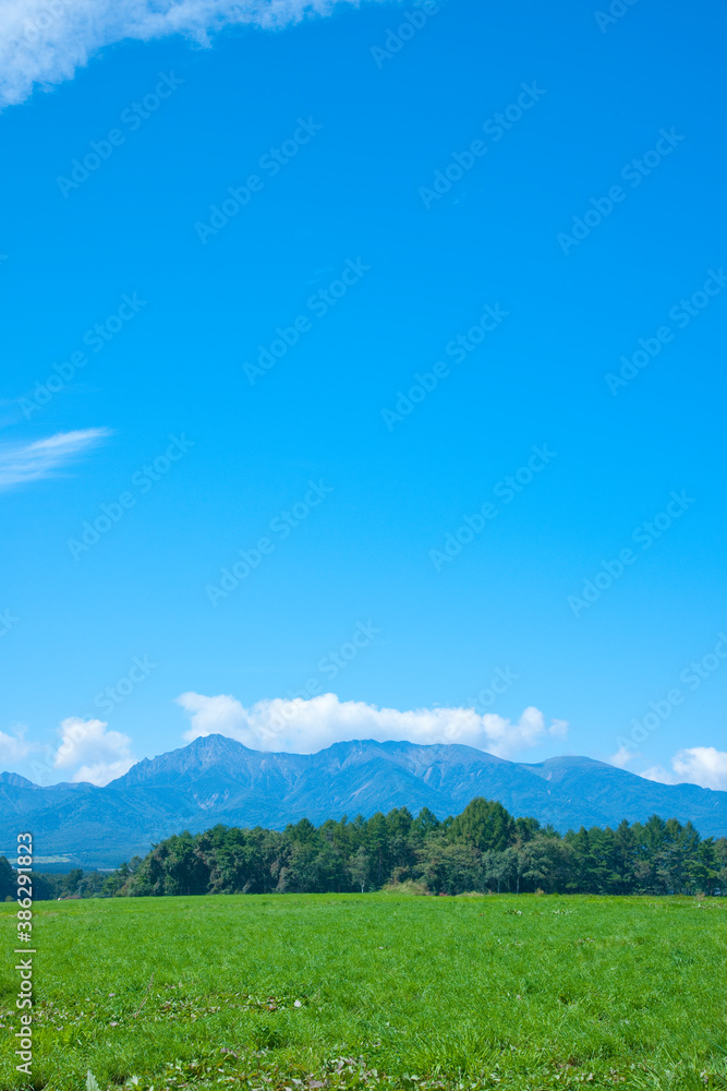 Fototapeta premium 草原と八ヶ岳