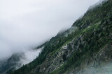 Coniferous forest on mountainside among low clouds. Atmospheric view to rocky mountains with conifer trees in dense fog. Ghostly foggy forest on big rocks. Minimalist dramatic scenery at early morning