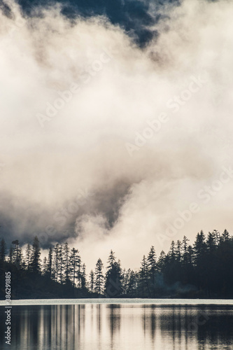 Silhouettes of pointy fir tops on hillside along mountain lake in dense fog. Reflection of coniferous trees in shiny calm water. Alpine tranquil landscape at early morning. Ghostly atmospheric scenery