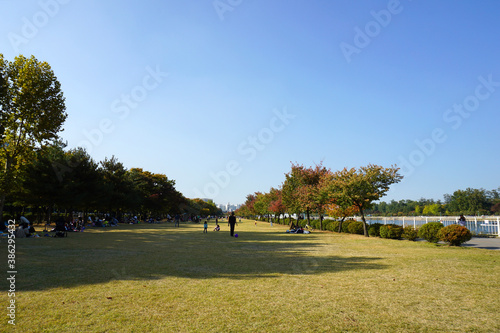 a leisurely view of parks in the city.