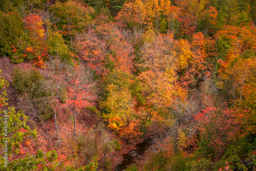 Aerial shot of colorful fall foliage along Hammell creek in Michigan upper peninsula Aerial shot of colorful fall foliage along Hammell creek in Michigan upper peninsula