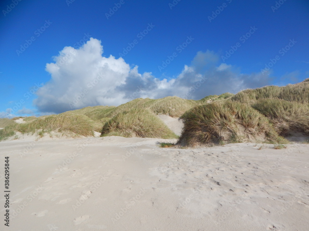 sand dunes on the beach