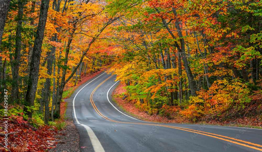 Tunnel of trees in autumn time along scenic byway M41 in Keweenaw peninsula in Michigan upper peninsula Tunnel of trees in autumn time along scenic byway M41 in Keweenaw peninsula in Michigan upper peninsula