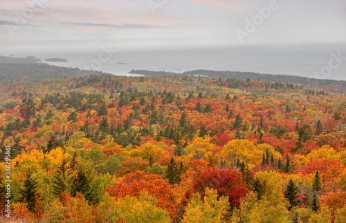 Carpet of colorful trees in autumn tile along lake Superior in Michigan upper peninsula