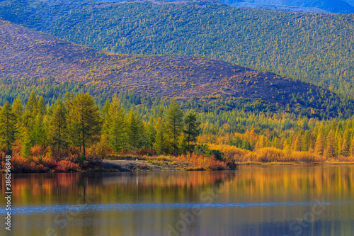 The nature of the Magadan region. Bright autumn trees are reflected in a beautiful picturesque lake
