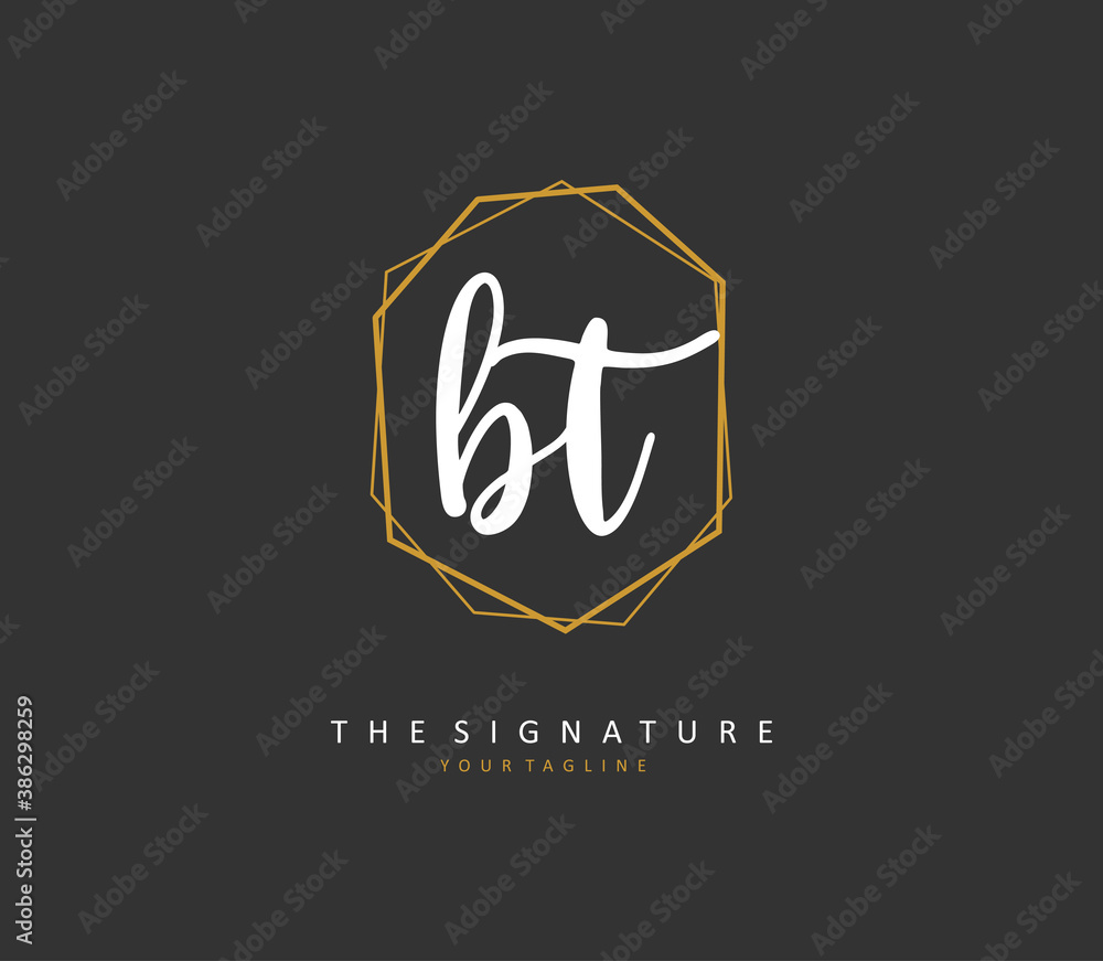 B T BT Initial letter handwriting and signature logo. A concept handwriting initial logo with template element. B T BT Initial letter handwriting and signature logo. A concept handwriting initial logo with template element.