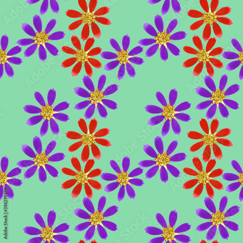 Cosmos  kosmeya. Illustration  texture of flowers. Seamless pattern for continuous replication. Floral background  photo collage for textile  cotton fabric. For use in wallpaper  covers