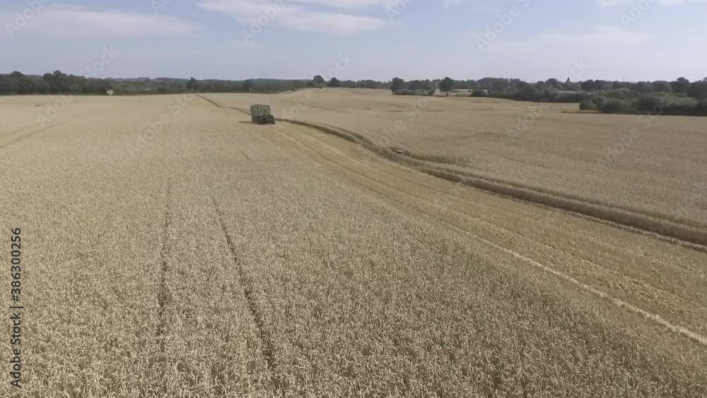 Aerial view of a tractor driving on a trail in a wheat field Aerial view of a tractor driving on a trail in a wheat field