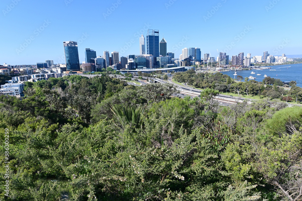 Perth city skyline as view from Kings Park