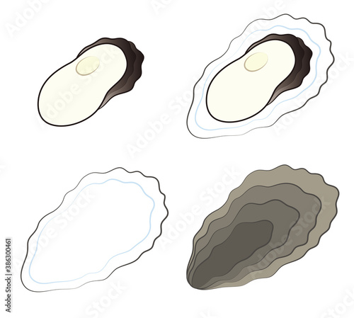 牡蠣 むき身と貝殻のセット イラスト ベクター