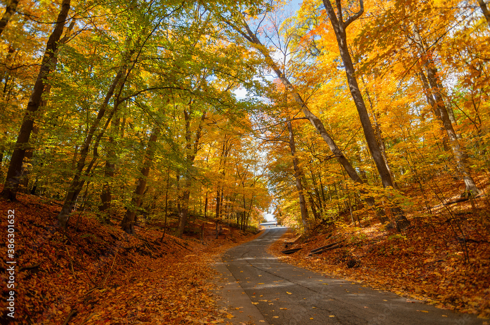 Beautiful ravine in Toronto