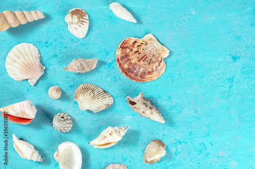 Obraz na plátně Sea shells banner with copy space, top shot on a teal blue background, a flatlay