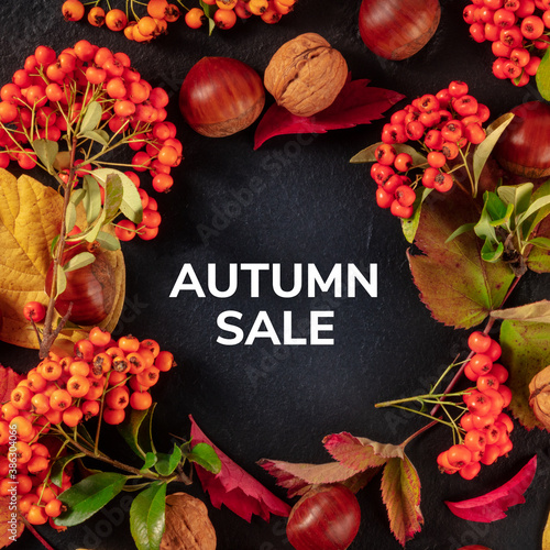 Autumn Sale square design with chestnuts and fall leaves, overhead shot on a dark background