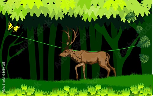 Jungle scene, deer walk in the jungle, green folliage frame, night junle, vector template