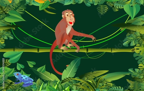 Jungle scene, monkey sits on the tree branch, green folliage frame, night junle, vector template