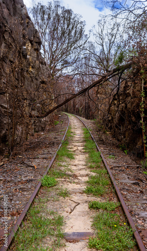 Abandoned and overgrown train tracks leading towards bush fire affected forests