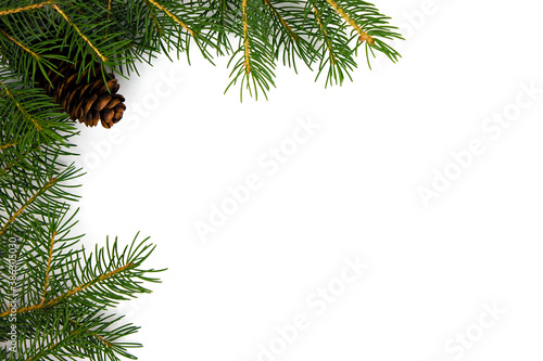 on a white background branches of a Christmas tree with a pine cone